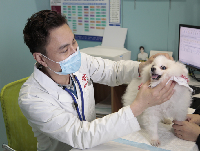 尊龙凯时 - 人生就是搏!