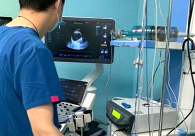 ������ʱ - �������ǲ�!