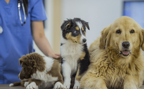 ������ʱ - �������ǲ�!