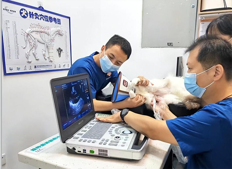 ������ʱ - �������ǲ�!