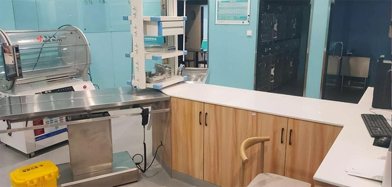 ������ʱ - �������ǲ�!