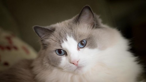 ������ʱ - �������ǲ�!