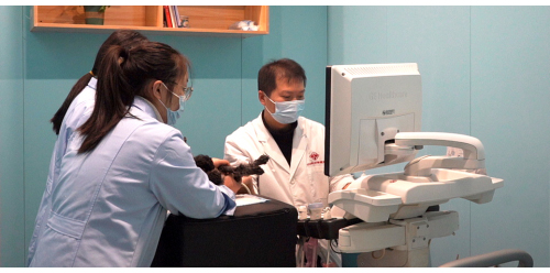 ������ʱ - �������ǲ�!