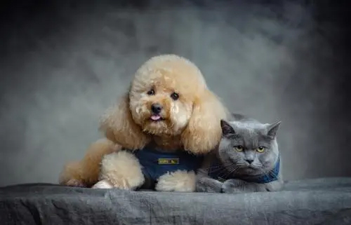 ������ʱ - �������ǲ�!