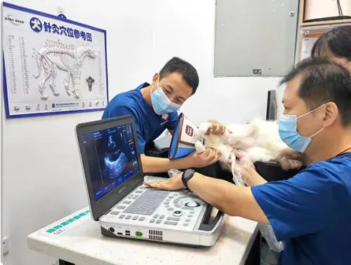 ������ʱ - �������ǲ�!