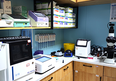 �������չʾ