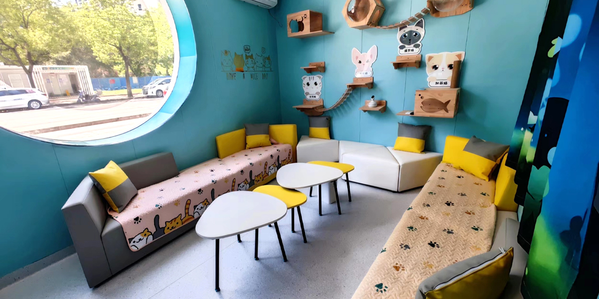 �������չʾ