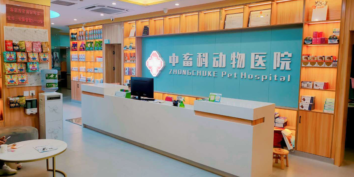 �������չʾ