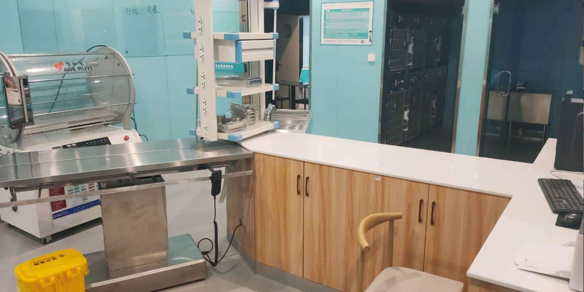 �������չʾ