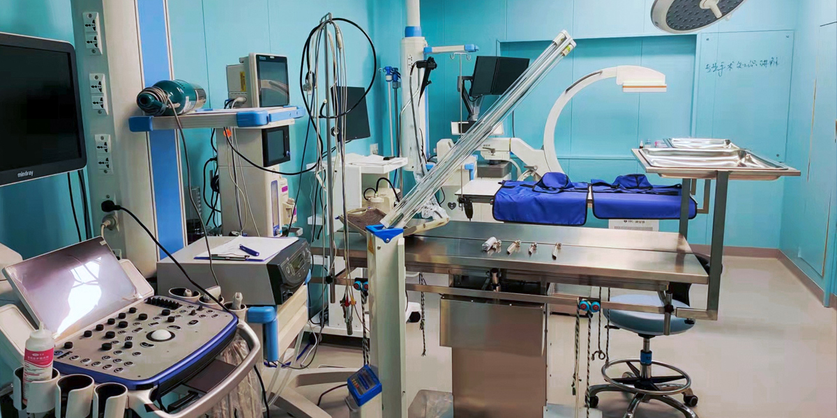 �������չʾ