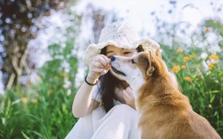 z6com����������ҽԺ����ʵ��˵����Ϊë���ӱ��ݻ���